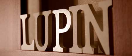 ルパン乃小屋の写真